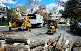 Best Tree and Shrub Care  in Grand Rapids, MN