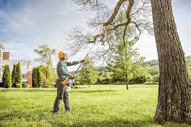 Best Arborist Consultation Services  in Grand Rapids, MN